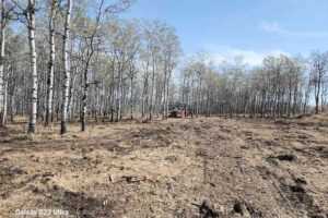 Hiring a Land Clearing Contractor vs DIY