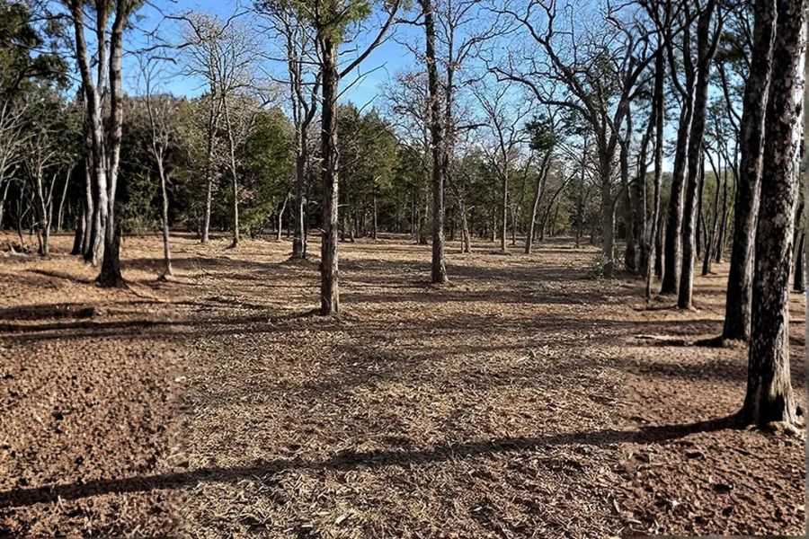 Rent Land Clearing Equipment vs Hiring Professionals