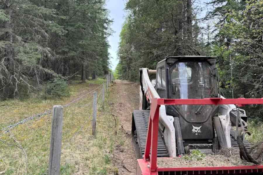 Tree Mulching vs Forestry Mulching