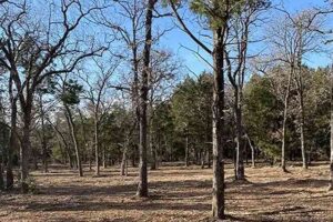 Vegetation Management Fire Prevention