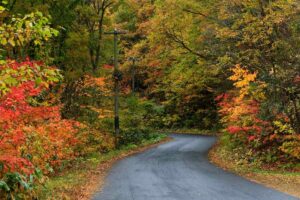 Trail Cutting vs Access Clearing