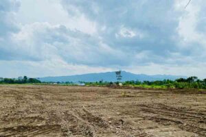 land clearing Project