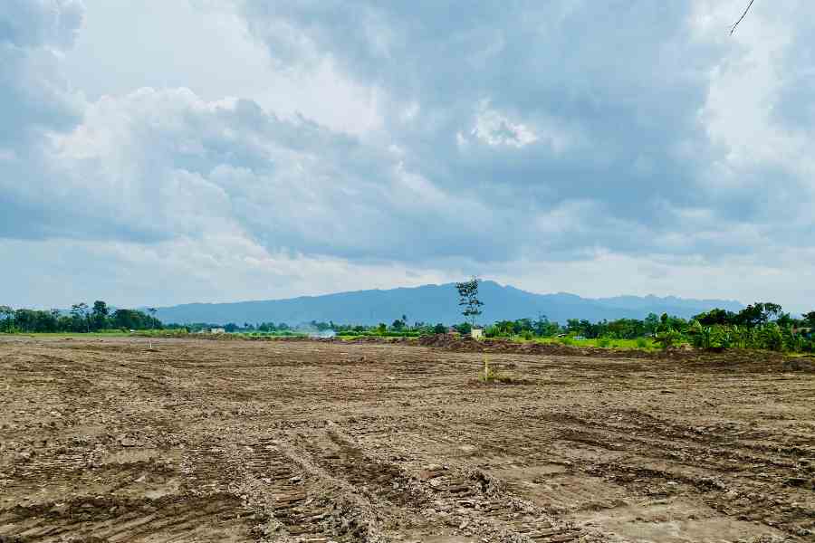 land clearing Project