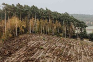 Brush Cutting Project