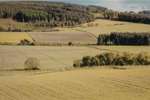 Land Clearing on Difficult Terrain