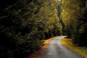 Right of Way Vegetation Management
